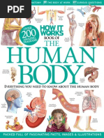 Download How It Works - Human body by Margo Sun SN271743043 doc pdf