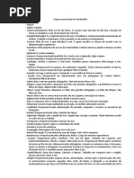 Cargos Numa Roça de Candomblé