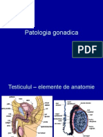 Patologia gonadica