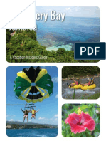Discovery Bay Insider Guide