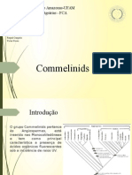 Commelinids- Taxonomia Vegetal