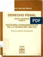 Garrido Montt, Mario - Derecho Penal. Tomo II