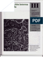 P3-C10 - Estructura de La Membrana