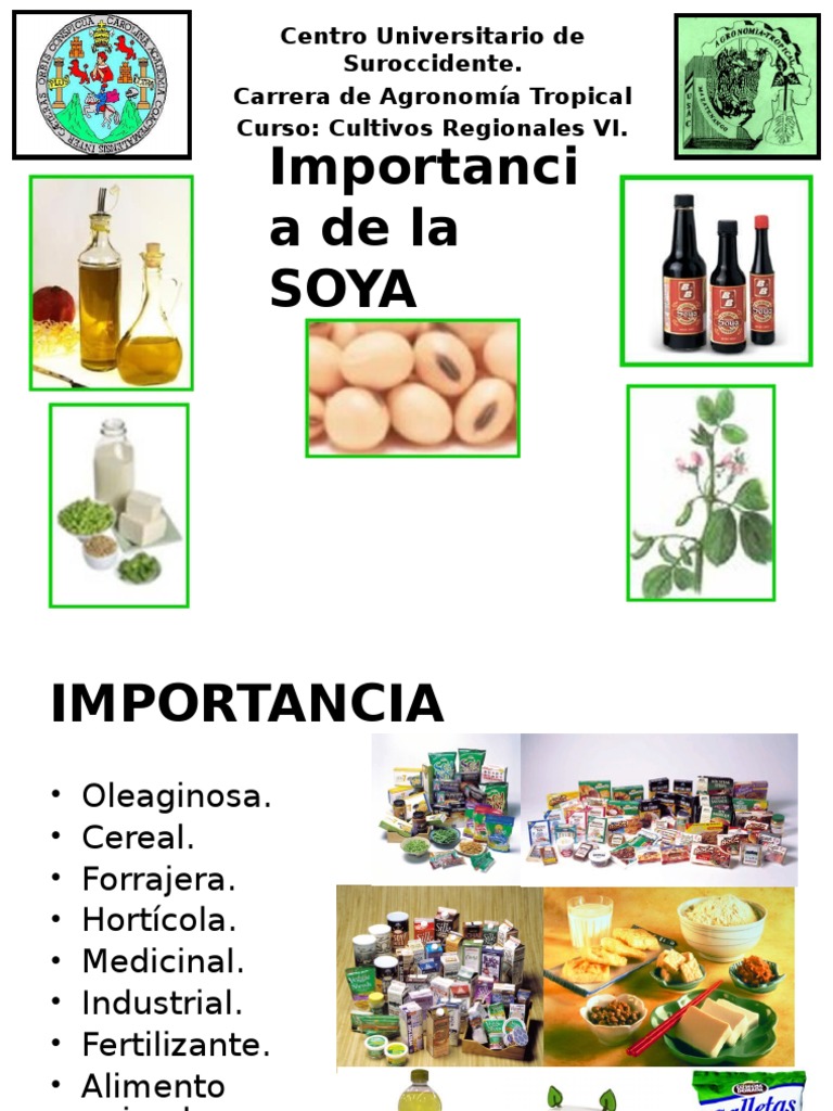 El Cultivo De Tomates Hidropnicos Monografias Com