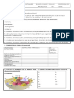 Evaluacion Celula y Biomoleculas