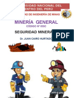 Tema 29-Mg-Seguridad Minera