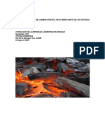 Estudio de Mercado Carbon Vegetal 2011 PDF