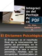 Integraciondelperitajepsicologicos 141211092935 Conversion Gate01