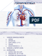  Sistema Cardiovascular 