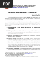 Download Dicas Curriculum by leonelbeira SN271873 doc pdf