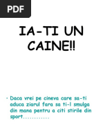 Ia-Ti Un Caine Daca Vrei Sa...... (Romana)