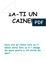 Ia-Ti Un Caine Daca Vrei Sa...... (Romana)