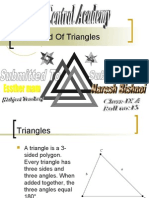 World of Triangles