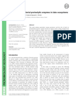 Persistence of Bacterial Proteolytic Enzymes in Lake Ecosystems