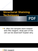 Structural Staining Techniques: Activity 2