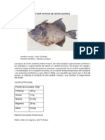 Cochito PDF