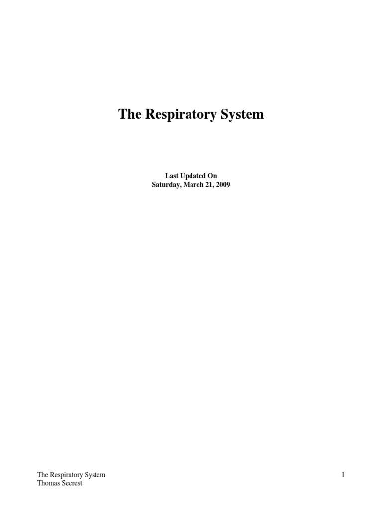 Overview of the Respiratory System | PDF | Lung | Respiratory System