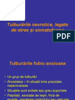 NEVROZE 6.ppt