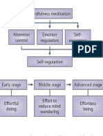 The Neuroscience of Mindfulness Meditation.