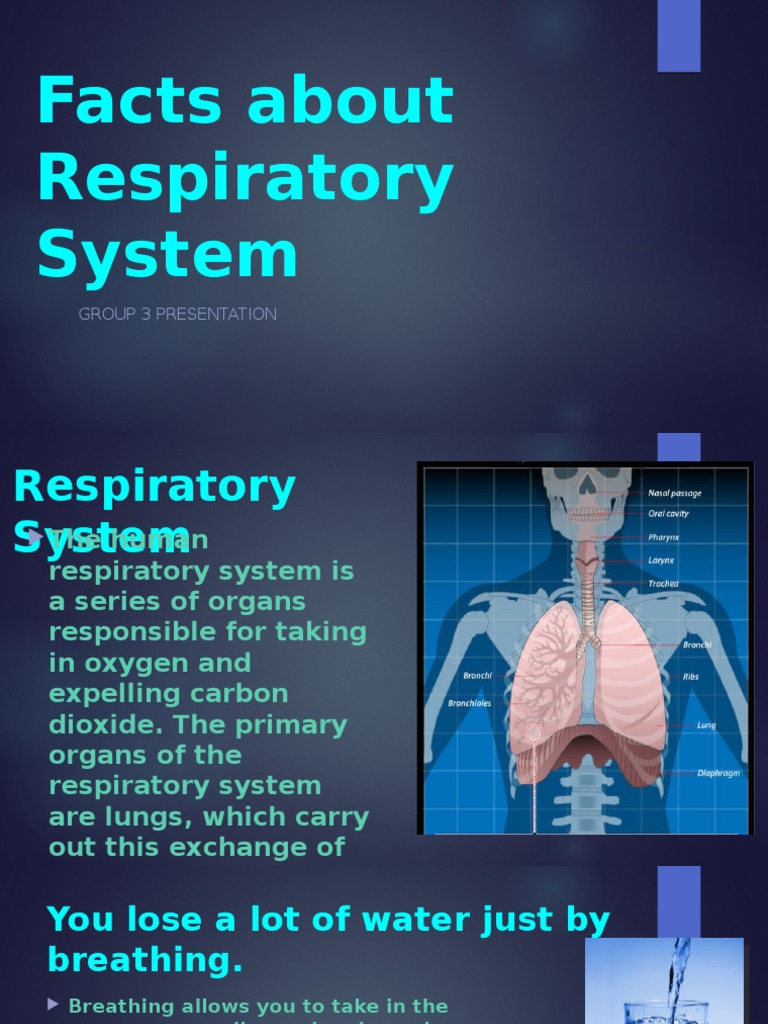 Respiratory system intelligence overview
