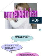 Human Reproduction Sys.