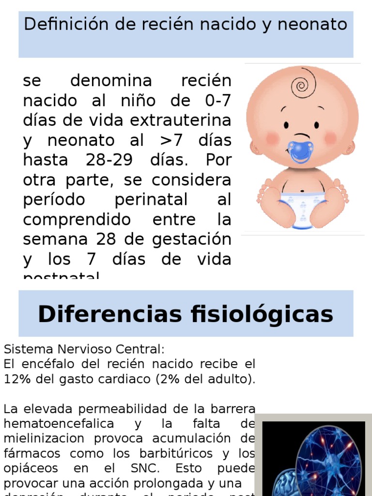 Definición de Recién Nacido y Neonato PDF Infantes Sistema