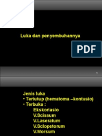 Luka Dan Penyembuhan