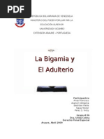BIgamia y adulterio