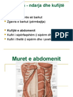 Abdomen Muret