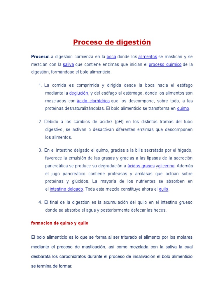Proceso De Digestión Pdf Digestión Sistema Digestivo Humano