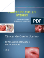 Cancer de Cuello Uterino 2014