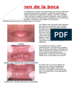 Examen de La Boca