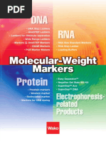 Molecular Weight Markers