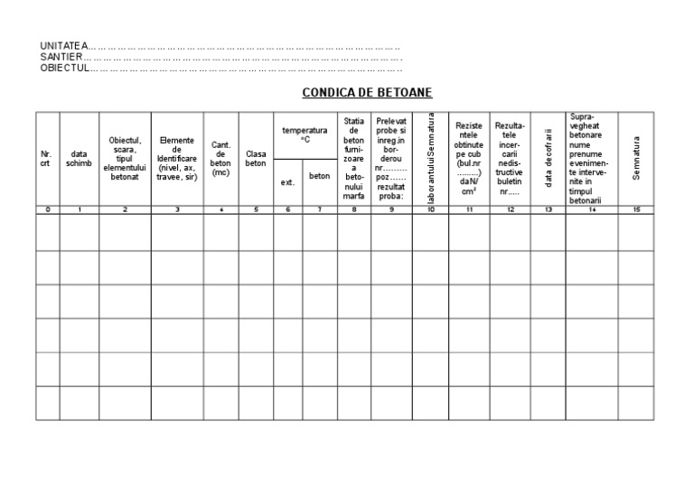 Condica Betoane | PDF