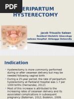 Outline Procedure For Tahbso | PDF | Uterus | Vagina
