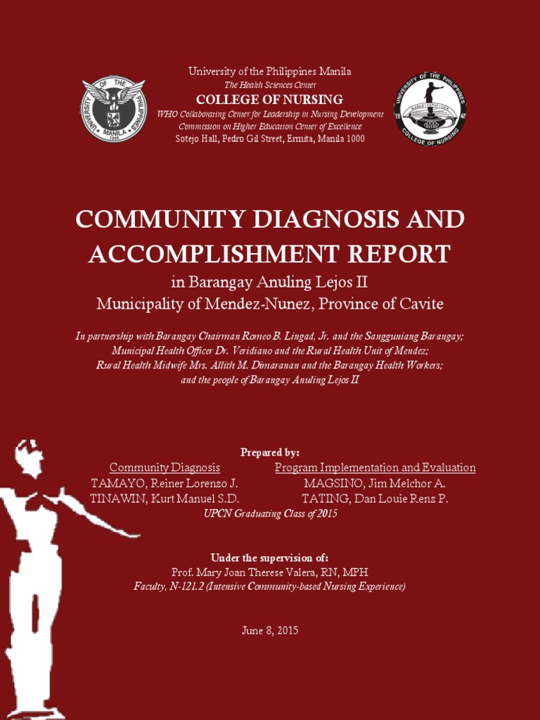 Community Diagnosis and Accomplishment Report | PDF