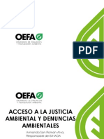 8. Acceso a La Justicia Ambiental y El SINADA