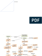 Mapa Conceptual Sobre La Evolución Del Hombre