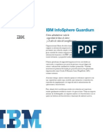 1 IBM InfoSphere Guardium
