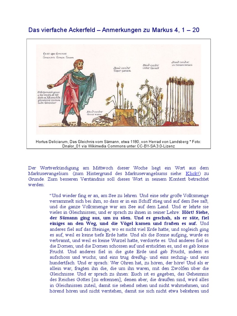 Das vierfache Ackerfeld - Anm. zu Markus 4, 1 - 20