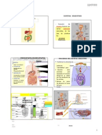 Diapositivas Digesti diapositivas_digestion.docxon