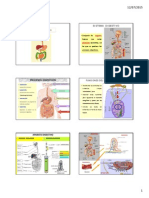 Diapositivas Digestiondiapositivas_digestion.pdf