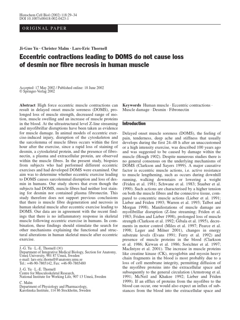 Oirf kjkj essay picture