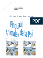 Animale Polare