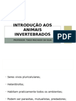 Apresentação - Introdução Aos Invertebrados