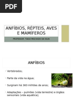 Apresentação - Anfíbios, Répteis, Aves e Mamíferos