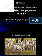 Comportamento Obsessivo Compulsivo em Pequeno Animais 