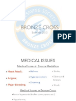 Bronze Cross 2 Compressed