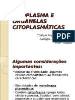 Citoplasma e Organelas Citoplasmáticas- 29-09