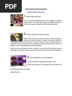 Guia de Cultivo de Rosas Do Deserto